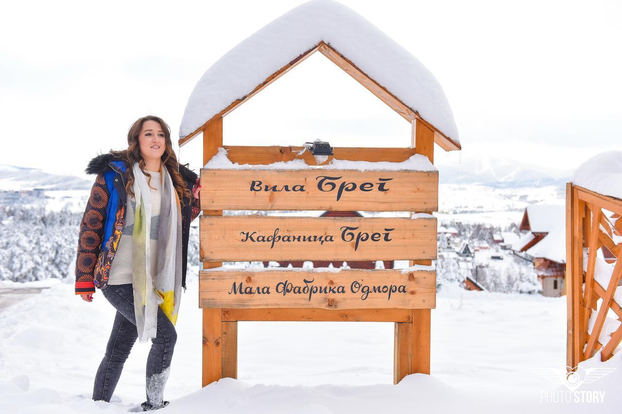 Vila Breg Zlatibor Esterno foto